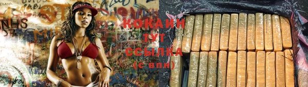 тгк Баксан