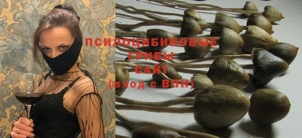 марки nbome Карпинск