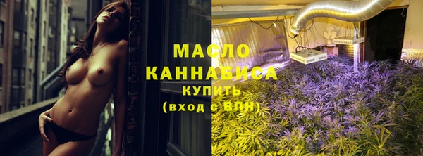 дмт Киреевск