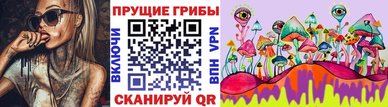 Псилоцибиновые грибы мицелий  darknet наркотические препараты  Искитим 