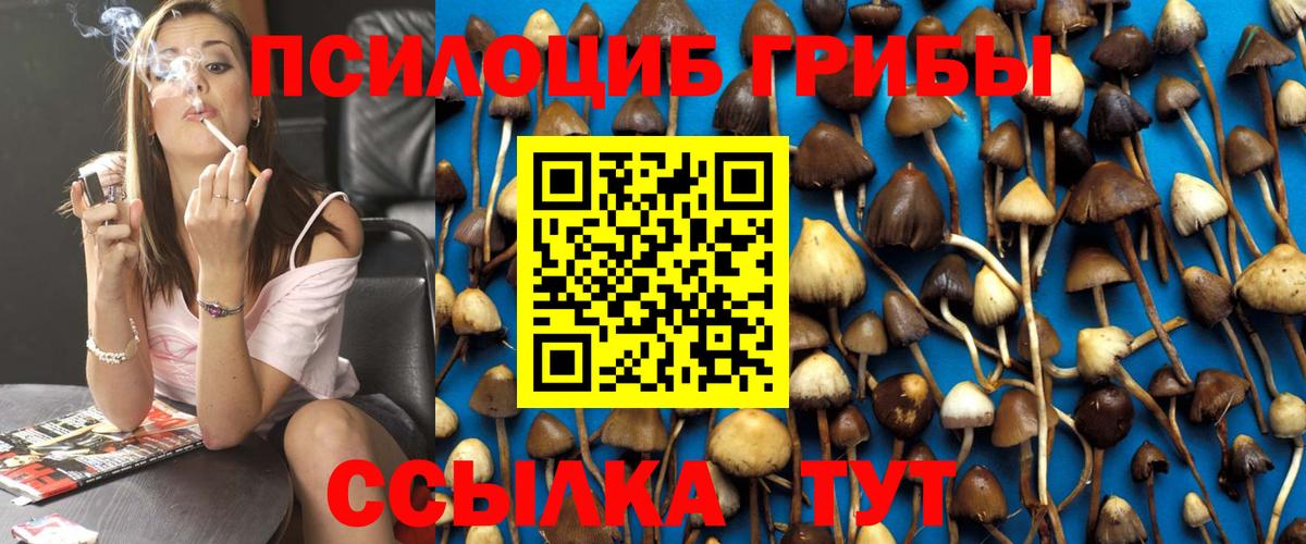 Псилоцибиновые грибы Psilocybe  Вход с VPN  Искитим 