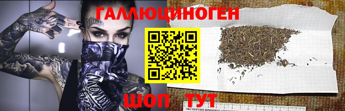 Галлюциногенные грибы GOLDEN TEACHER Искитим