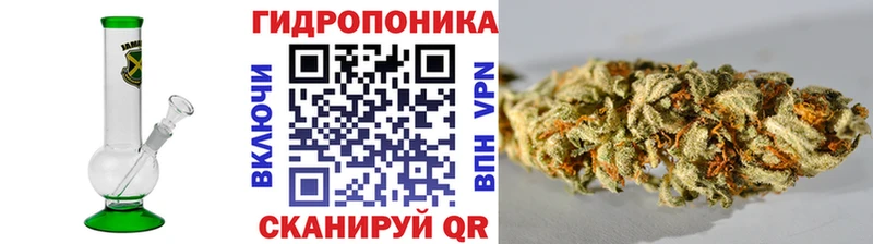 Бошки Шишки конопля  где продают наркотики  MEGA рабочий сайт  Искитим 
